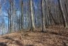 http://dogwoodrealtyllc.com/listings/images/listing_photos/504_392_graham_lot9a.jpg