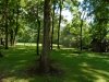 http://dogwoodrealtyllc.com/listings/images/listing_photos/507_DSC00556.JPG