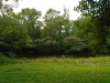 http://dogwoodrealtyllc.com/listings/images/listing_photos/522_DSC02172.JPG