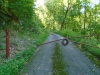 http://dogwoodrealtyllc.com/listings/images/listing_photos/532_DSC02301.JPG