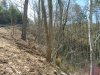 http://dogwoodrealtyllc.com/listings/images/listing_photos/533_DSC01738.JPG