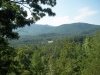 http://dogwoodrealtyllc.com/listings/images/listing_photos/535_LeeganLots64and65TolliverTrail8252016001.jpg
