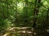 http://dogwoodrealtyllc.com/listings/images/listing_photos/536_DSC02152.JPG
