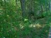 http://dogwoodrealtyllc.com/listings/images/listing_photos/537_DSC02345.JPG