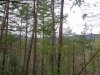 http://dogwoodrealtyllc.com/listings/images/listing_photos/539_GreenAceGapRdLot12222017002.jpg
