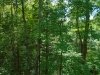 http://dogwoodrealtyllc.com/listings/images/listing_photos/540_DSC02483.JPG