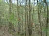 http://dogwoodrealtyllc.com/listings/images/listing_photos/542_5.jpg