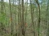 http://dogwoodrealtyllc.com/listings/images/listing_photos/542_7.jpg